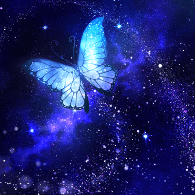 Reach for the stars Front Cover