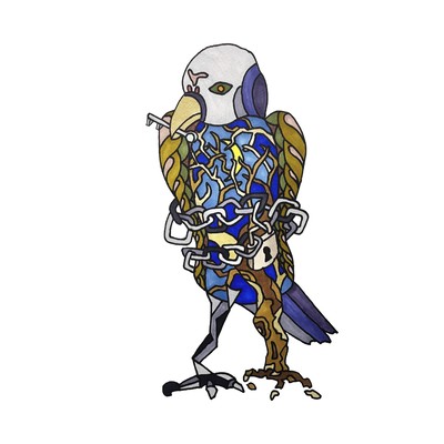 Parachute Front Cover