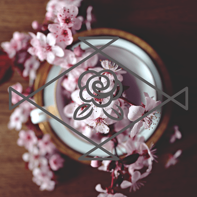 Footsteps of Spring Front Cover