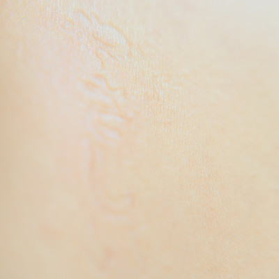 やさしい訴えのジャケット写真