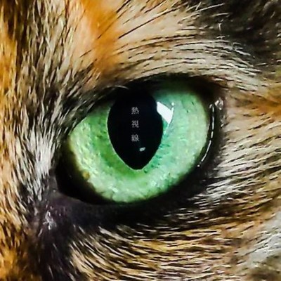 熱視線のジャケット写真