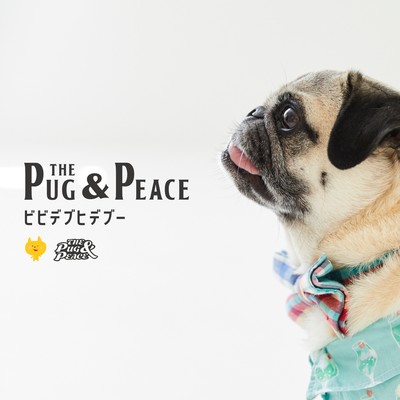 Bibbidi-Buhidi-Boo Front Cover