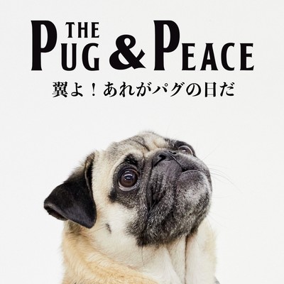 The Spirit of Pug & Peace Front Cover