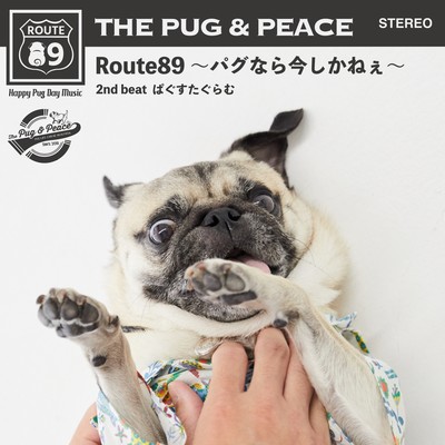 Route89 - Just do it now. Pug & Peace! - Front Cover