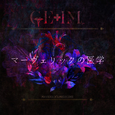 MAVERICK'S MEDICINE Front Cover