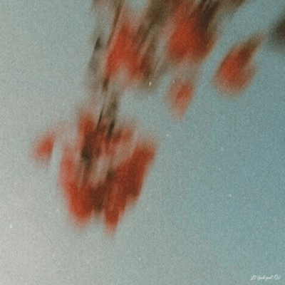 宝物 (feat. Sol)のジャケット写真