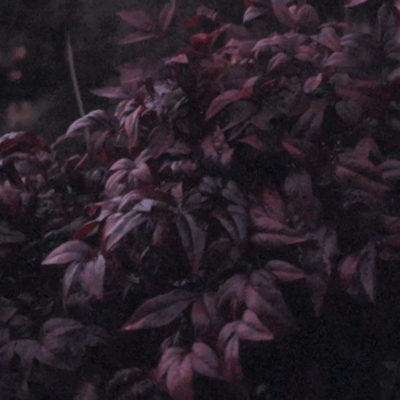 Dress room Front Cover