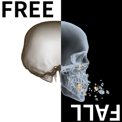 Free Fall Front Cover