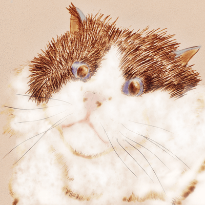 Shinzui. Front Cover