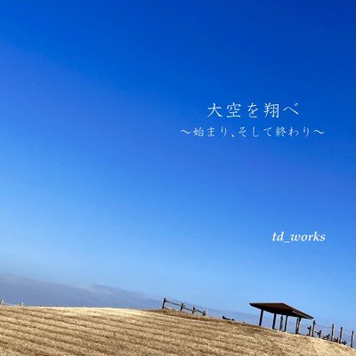 Fly In the Sky -The Beginning And the End- Front Cover