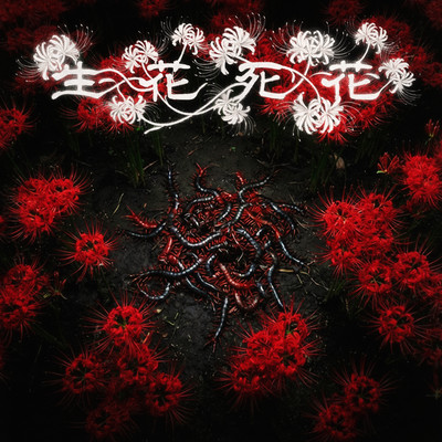 Sei ka shi ka Front Cover