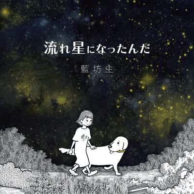 流れ星になったんだのジャケット写真
