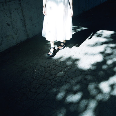 Summer wire mesh Front Cover