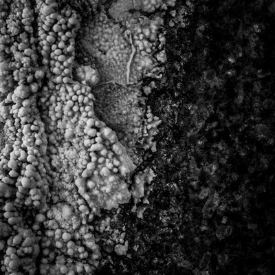 collaborate#1 Front Cover