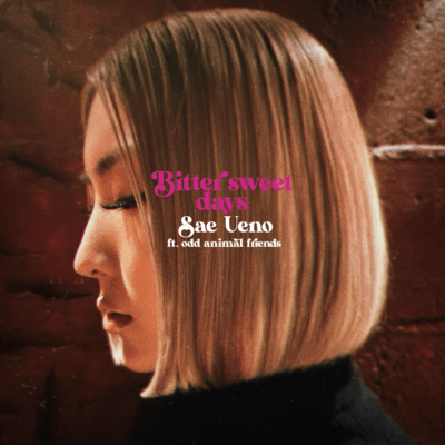 bitter sweet days (feat. odd animal friends) Front Cover