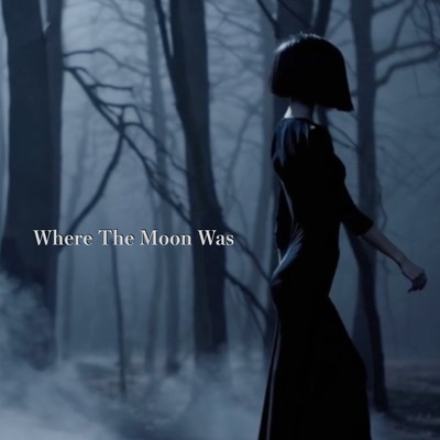Where The Moon Was Front Cover