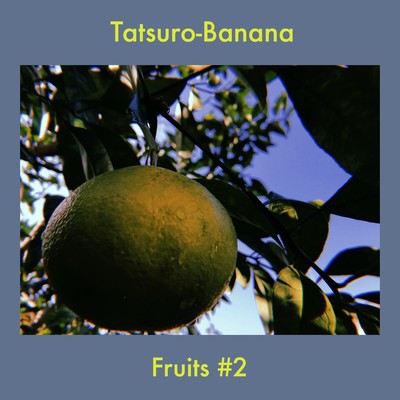 Fruits #2のジャケット写真