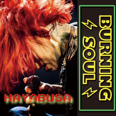 HAYABUSAのジャケット写真