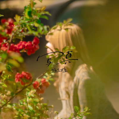 写真のジャケット写真