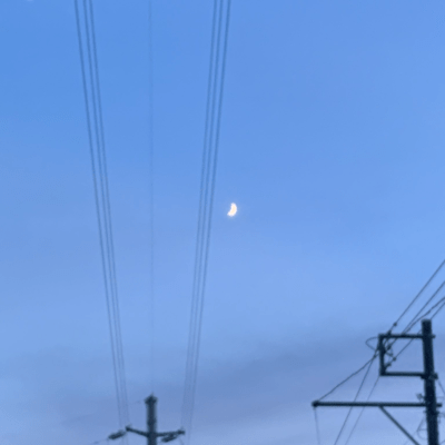 愛して怠惰 (feat. 初音ミク)のジャケット写真