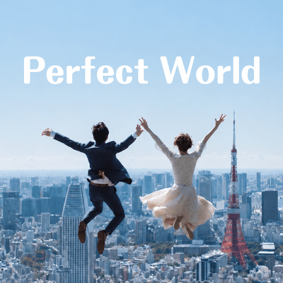 Perfect World Front Cover