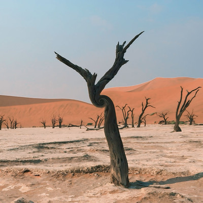 一体のジャケット写真