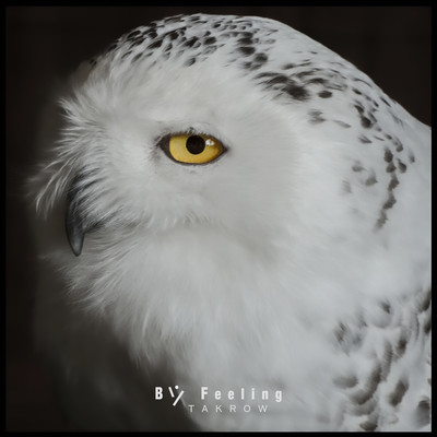 By Feeling Front Cover