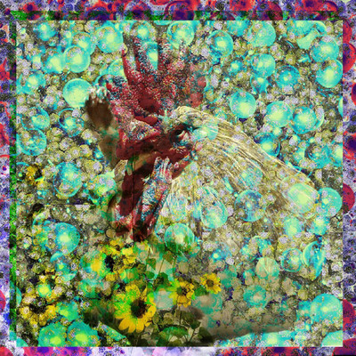 Siesta (feat. Ratio) Front Cover