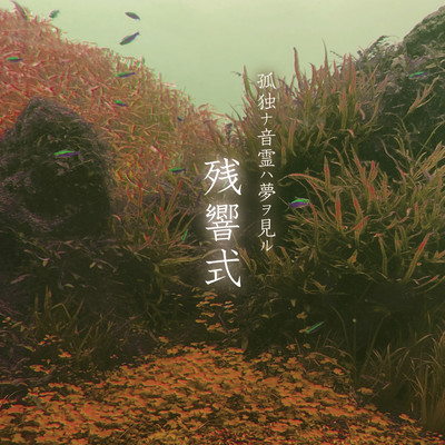 残響式のジャケット写真