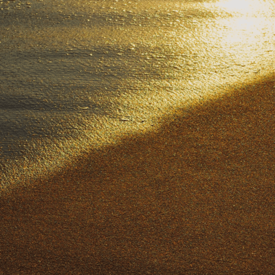 Murasaki Tuyukusa Front Cover