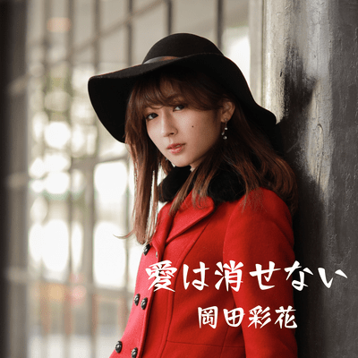 Love Cannot Be Erased Front Cover
