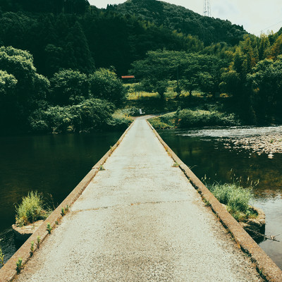 夏の雫のジャケット写真