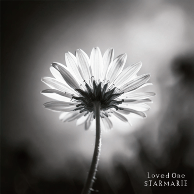 Loved One (STARMARIE ver)のジャケット写真