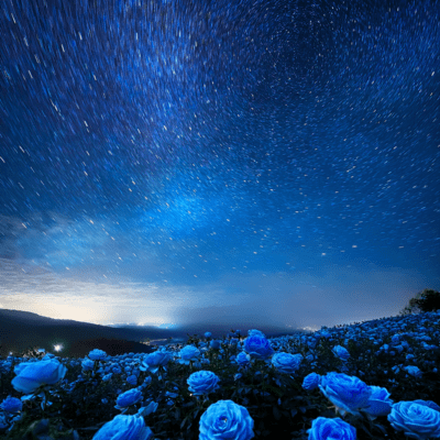 夜空のジャケット写真