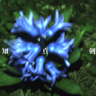 知心剣のジャケット写真