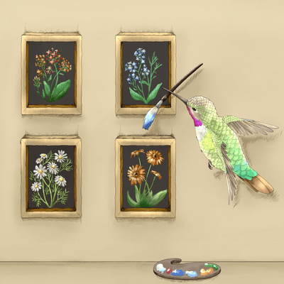 Hummingbird Front Cover