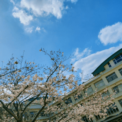 Memories of Youth Front Cover