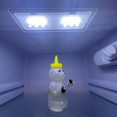 frisk Front Cover