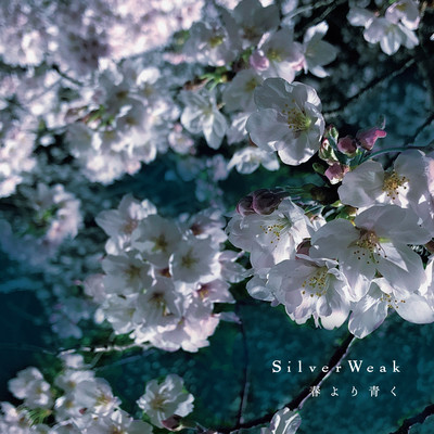 Bluer than spring Front Cover