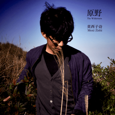 The Wilderness (Remastering in Japan) Front Cover