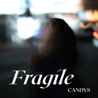 Fragile Front Cover