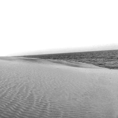 Desert Dessertのジャケット写真