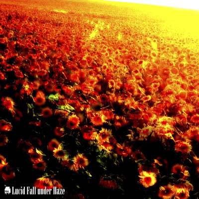 Lucid Fall under Haze Front Cover