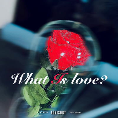 What Is Love?のジャケット写真