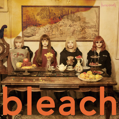 bleach Front Cover