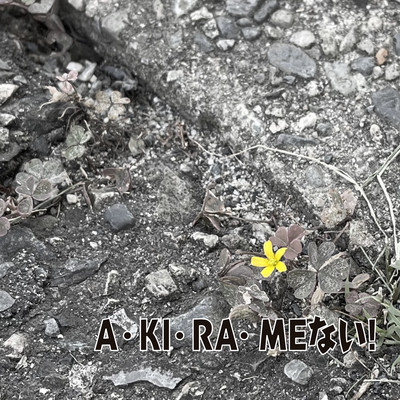 A・KI・RA・MEない!のジャケット写真