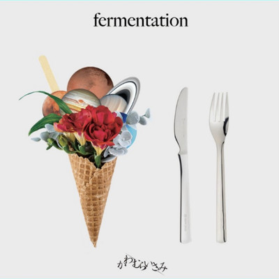 fermentationのジャケット写真