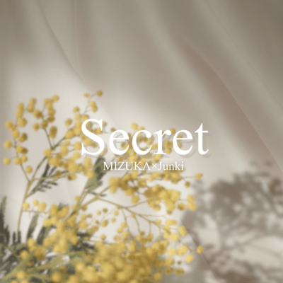 Secret Front Cover