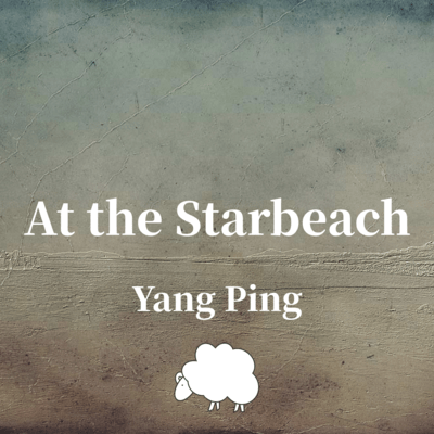 At the Starbeach Front Cover