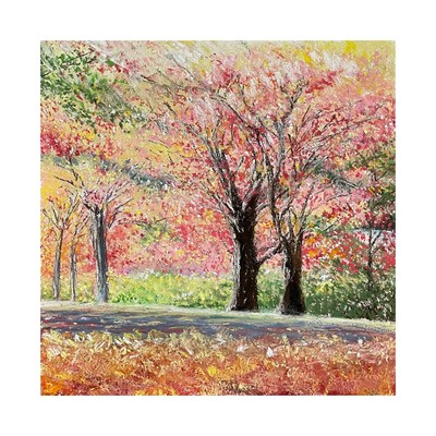 Petals Front Cover